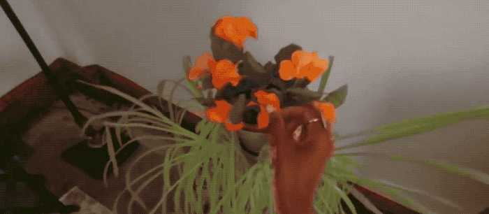 ▲通过全彩透视技术呈现的画面