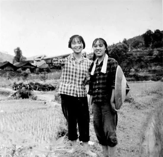 蹉跎岁月：女知青珍贵照片100张|知青|农村_新浪新闻
