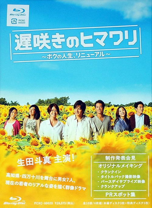日剧《迟开的向日葵》