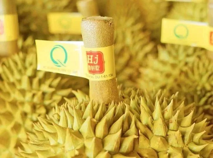 来源：洪九果品官网