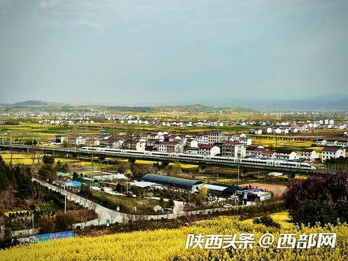 西安局集团有限公司全力打造“开往春天的列车”。摄影：周博伦