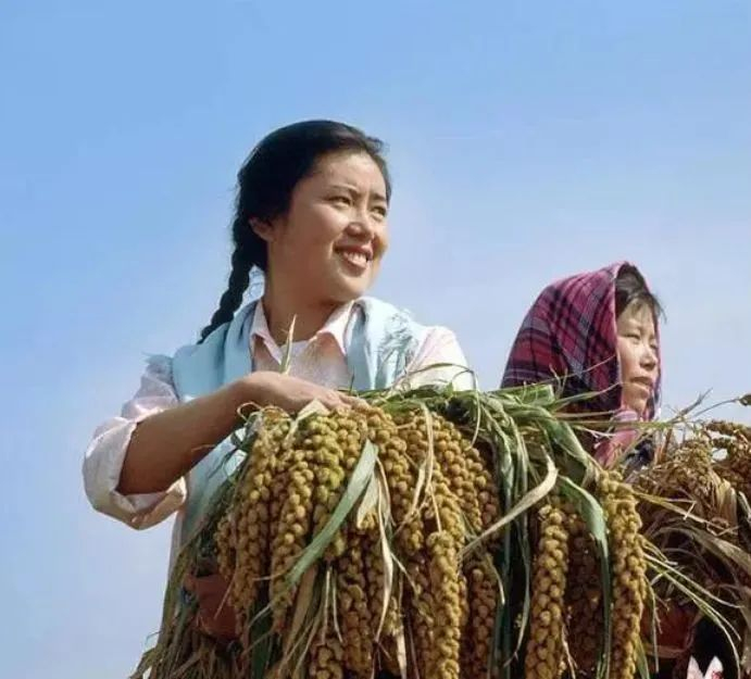 蹉跎岁月:女知青珍贵照片100张|知青|农村_新浪新闻