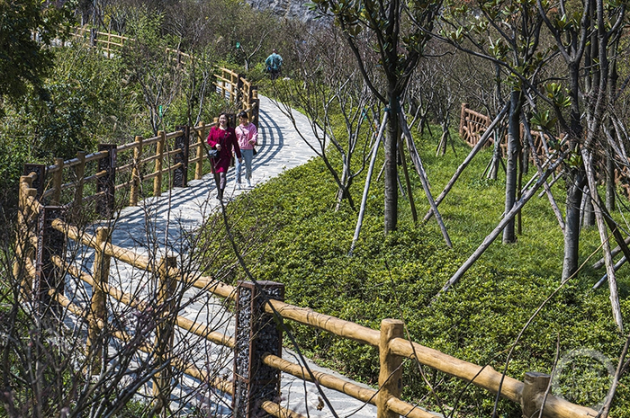 《铜锣山矿山公园的春天》组照三 李文静 摄