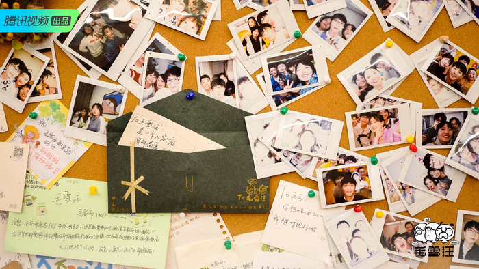 “毛雪汪之家”