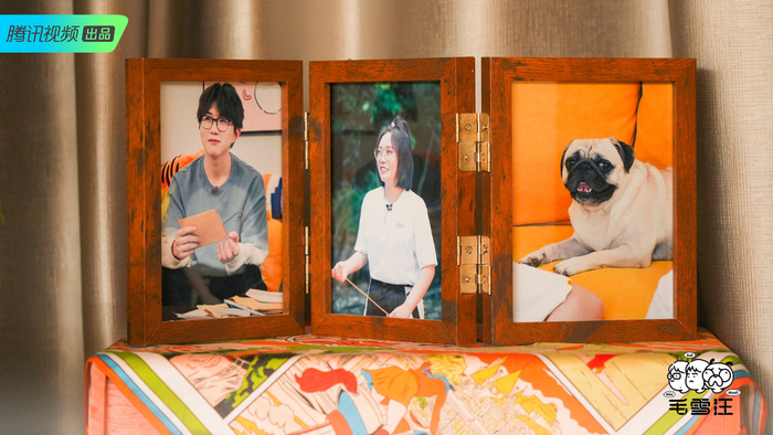 “毛雪汪之家”