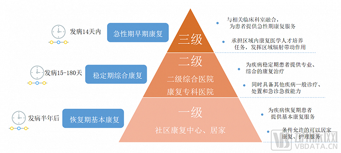 结合康复阶段的三级诊疗体系，图片来源：蛋壳研究院