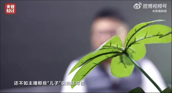 图源：央视财经视频