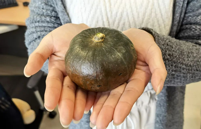 ▲八妹实拍单个贝贝南瓜