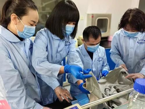 在银川市公安局刑侦支队DNA实验室，拜永强与队员们一起反复检查重大案件现场遗留物。