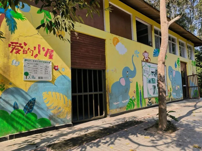 为幼象准备的“爱的小屋”，相当于儿童房（王剑英/摄）