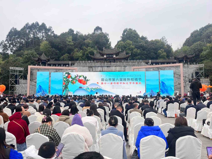 第十一届丹棱不知火节开幕式现场。受访者供图