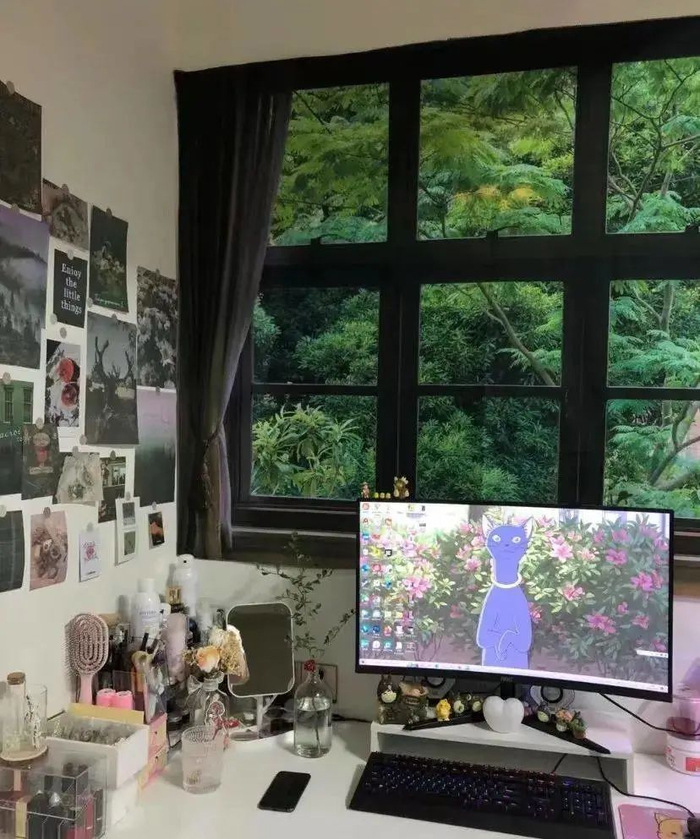 图源：小红书@芝士泡椒