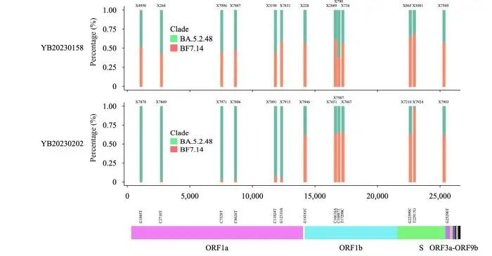 图片来源：中国疾控中心周报