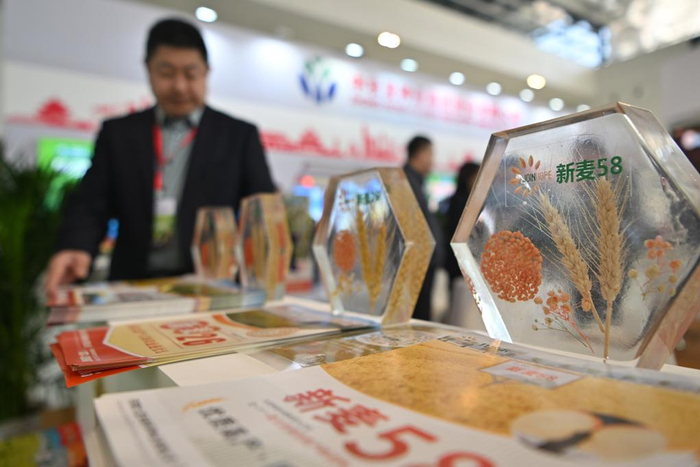 　　这是在展会上拍摄的小麦种子展示品。新华社记者 李然 摄