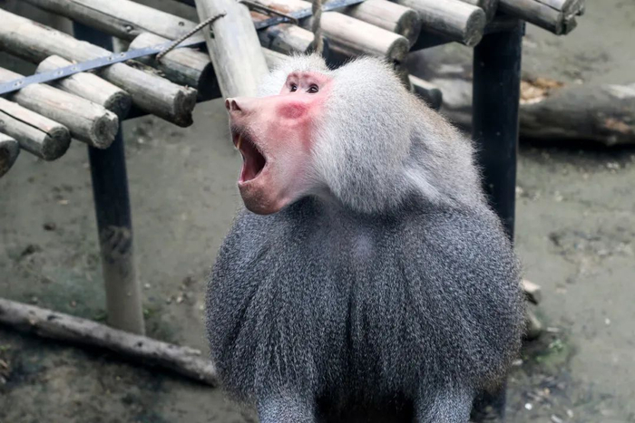 图库版权图片，不授权转载