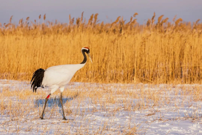 图库版权图片，不授权转载