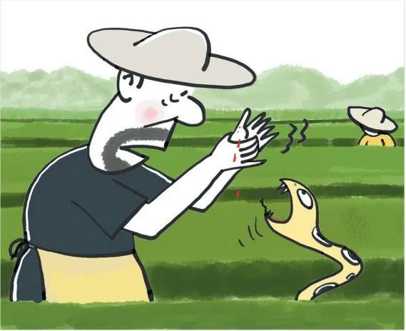 △漫画 王怀申/绘