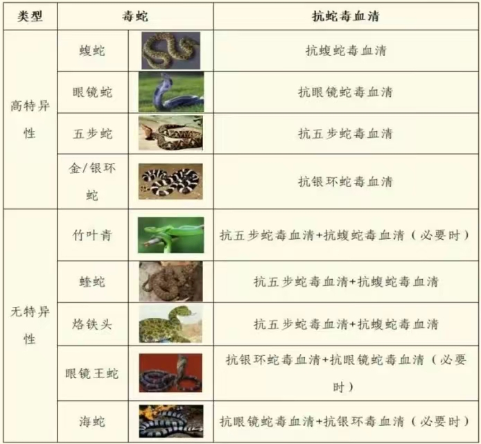 △我国常见毒蛇种类及其对应血清