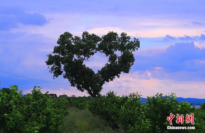 图片来源：视觉中国