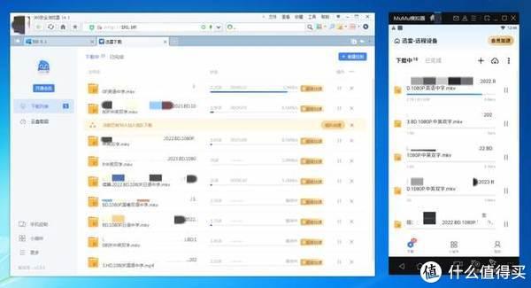 铁威马TOS系统解决NAS迅雷应用每天只能添加三个任务限制插图5