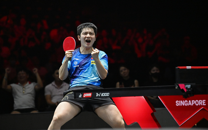 樊振东庆祝男单夺冠。  图/新华社