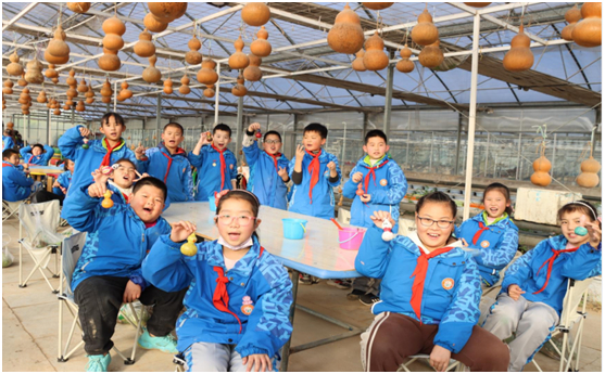 武屯街道国强现代农业园科普体验区