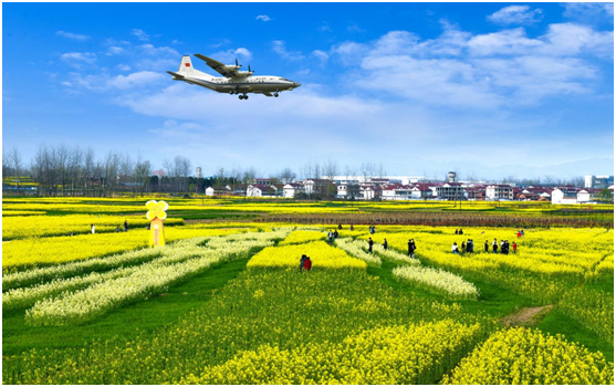 草坝岭村油菜花观赏区