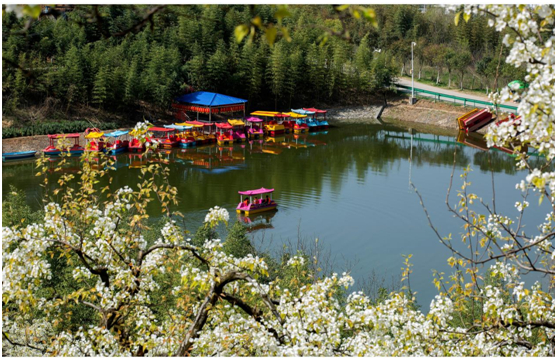 朱鹮梨园观赏区