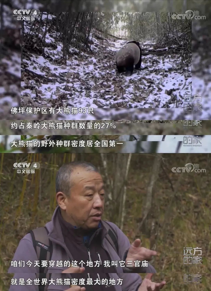 图源：央视《远方的家》