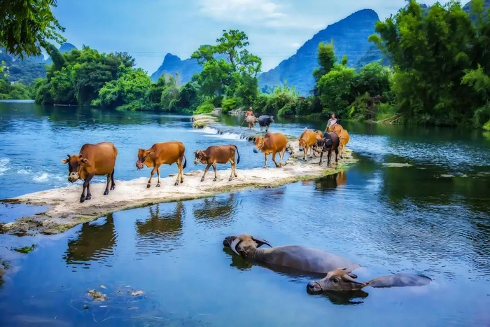 ▲图源 遇龙河景区