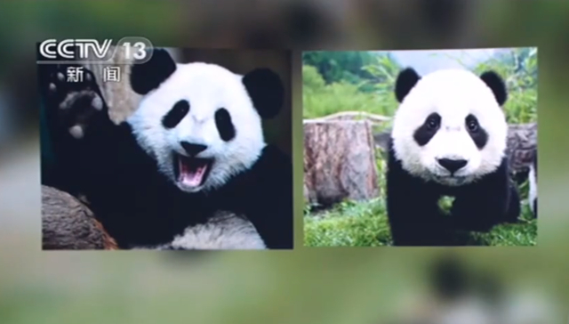 左四川，右秦岭