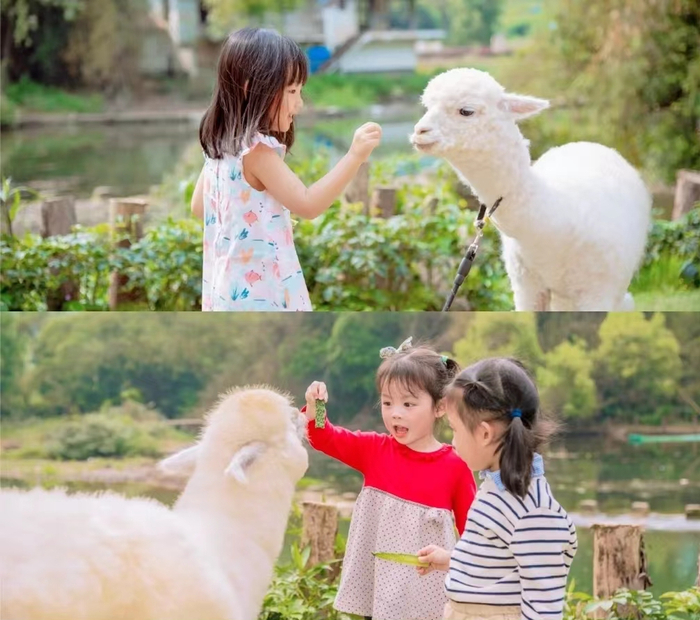 ▲图源 小红书@珊珊