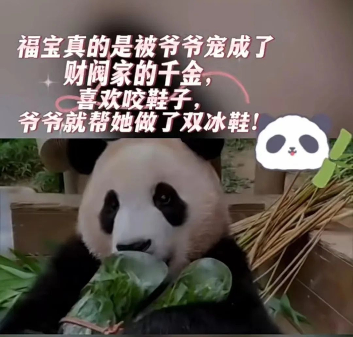 图源：视频号@烟台水母网