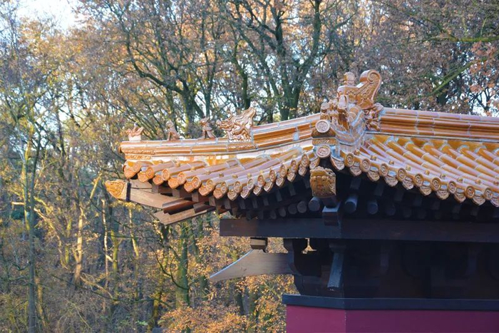 像是真像，宠也是真宠 | 图源：欧维汉动物园官网