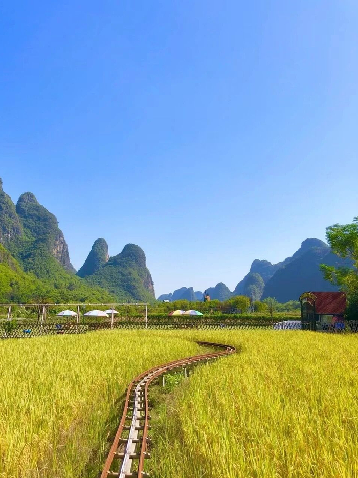 ▲图源 小红书@珊珊