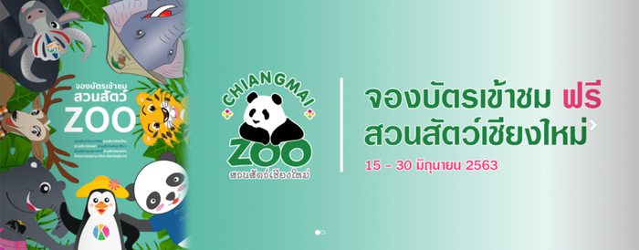 泰国清迈动物园甚至把园标也设计成了熊猫 | 图源：清迈动物园官网