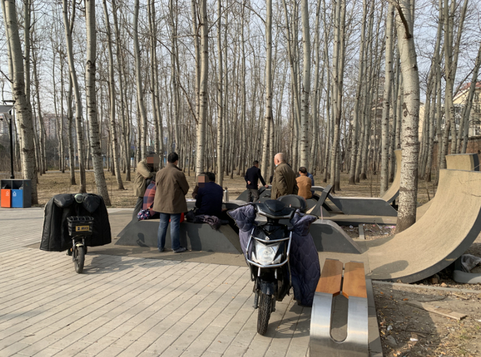 朝阳北部绿道示范道上混入电动车