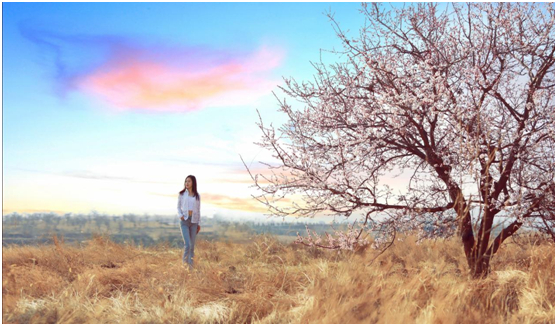 古塔新村杏花观赏区