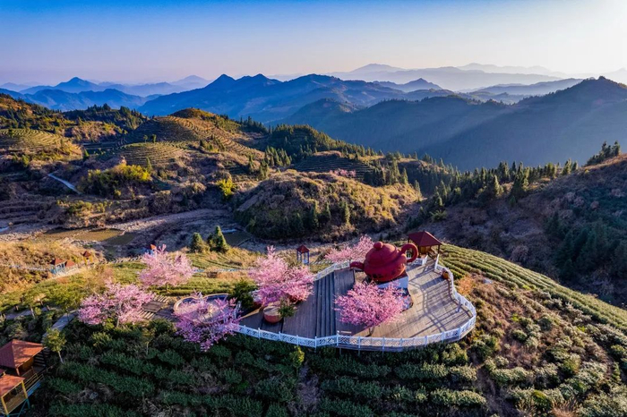 （摄影：苏晋锻）