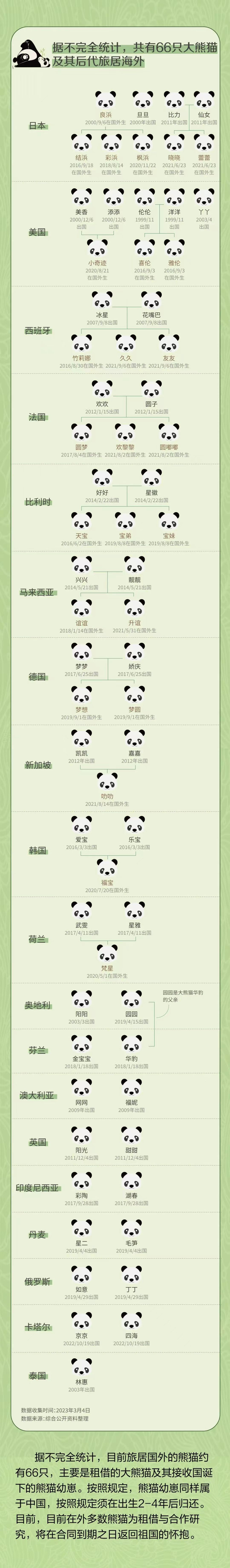 旅居国外的中国籍熊猫。湃客号“RUC新闻坊”图