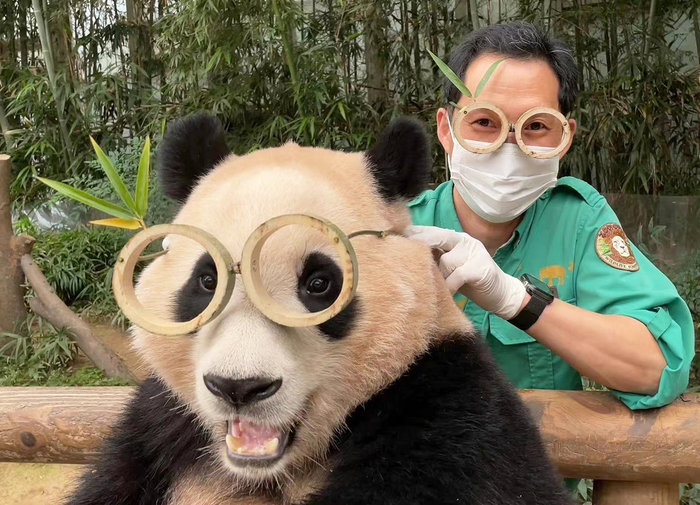 大熊猫“福宝”与保育员姜爷爷。网络 图