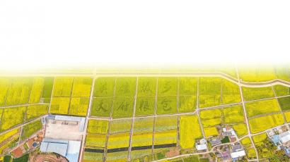 中江县连续16年成为四川产粮第一大县。图为中江县永太镇多宝村粮食生产基地。 杜宁 摄