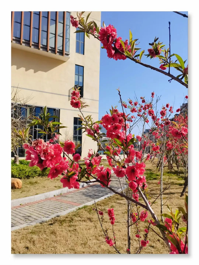 作者姓名：梁建强