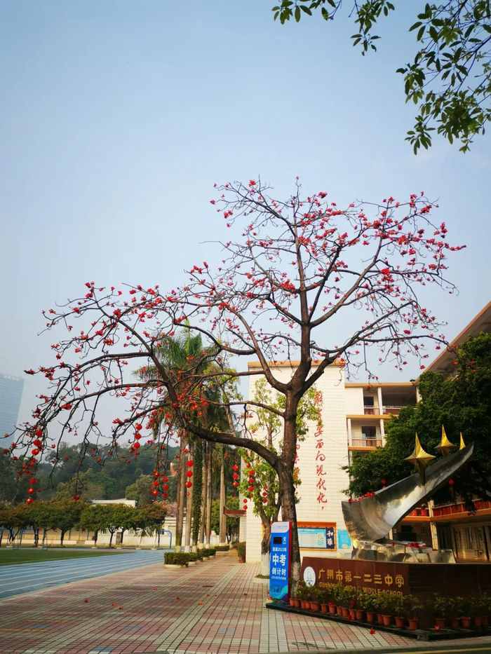 作者姓名：吴奕玲