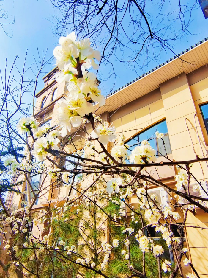 作者姓名：高倩