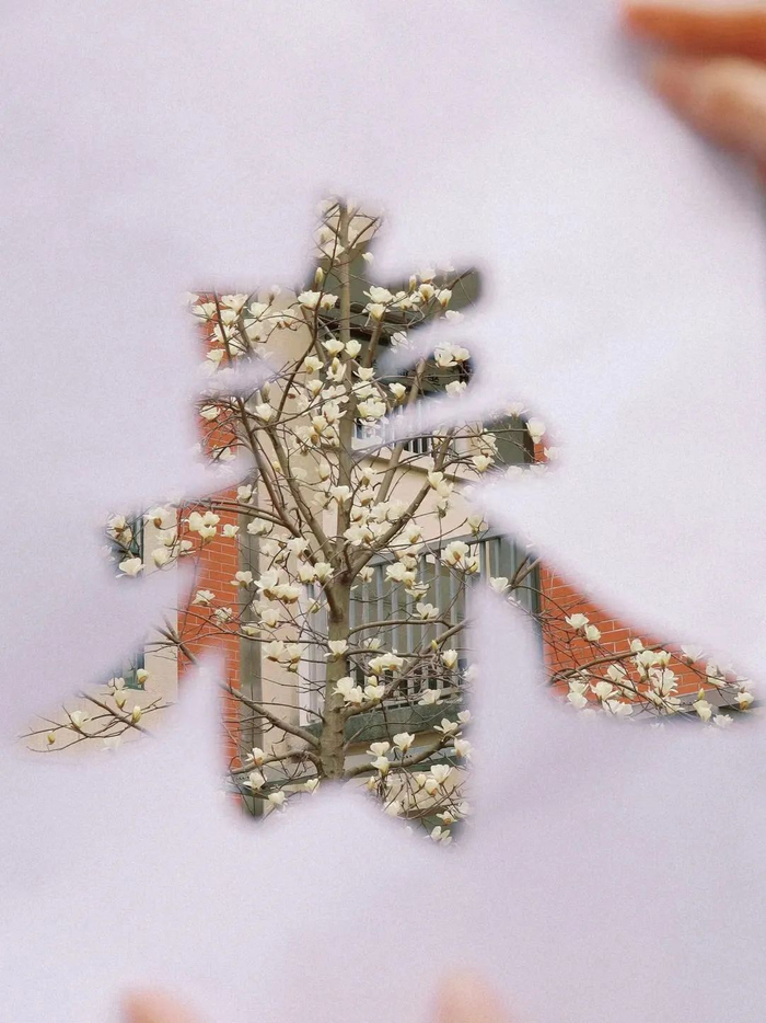 作者姓名：马雄祥