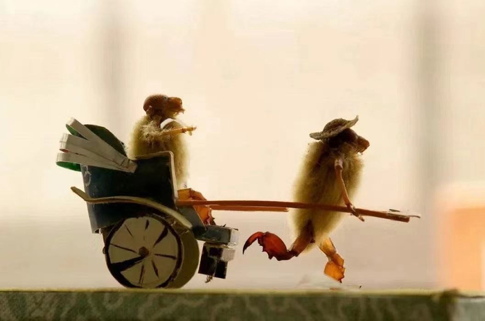 （图片来源：北京市东城区图书馆，杨巍）