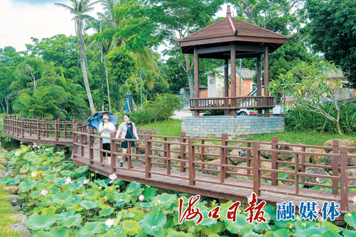 景色优美的金堆村成为不少市民游客周末休闲赏景的热门打卡地。陈长宇 摄