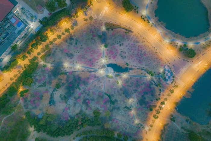 作者姓名：杨雨 王浩 杨曦 段斯耀 刘松毅 刘俊彤