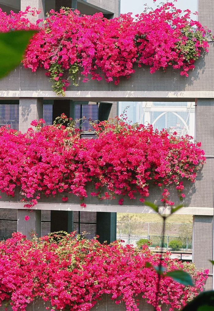 作者姓名：陈跃璇